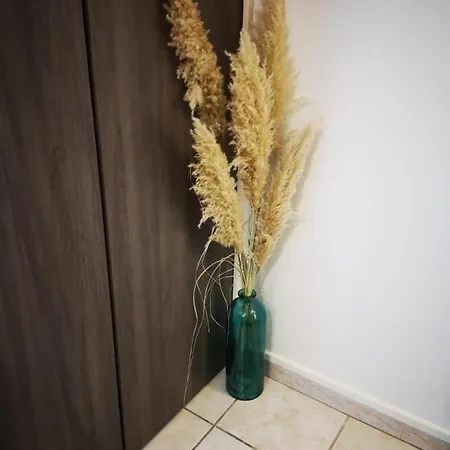 Apartment Le Cosy De L'ile *